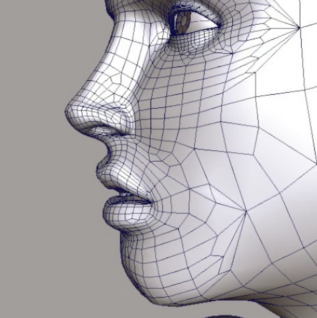 Subdivision surface figure detail